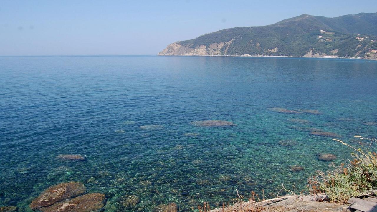 Il Rospo Otel Moneglia Dış mekan fotoğraf
